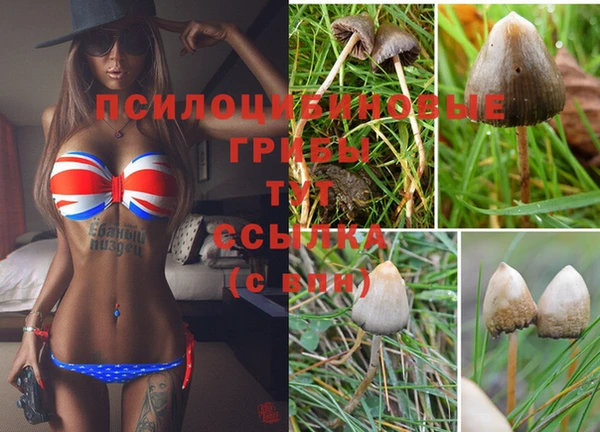 каннабис Балахна
